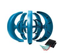 HUIZHITENGDA 24v, Generatore di Turbine eoliche a ASSE Verticale da 16000W con Lanterna, Kit Motore a 5 Pale, Turbine per la Ricarica dell'energia eolica, 20 Anni di Vita utile e 2 Anni di Garanzia