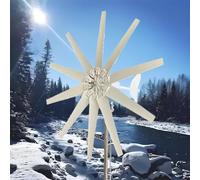 HUIZHITENGDA Generatore Eolico da 10000W 12V-220V, velocità del Vento di 2,5 m/s per avviare Il generatore Eolico, energia eolica con regolatore MPPT, Adatto per Case, fattorie e Camper.,220v