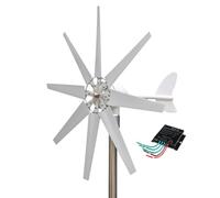 HUIZHITENGDA Generatore Eolico da Cortile 5000W 12V 24V 48V | Facile da assemblare, forte resistenza al vento, silenzioso, adatto per residenziale/strada/cortile