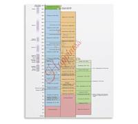 HUJWLBWF Classical Antiquity Timeline Poster with Hasmonean Judea Ptolemy Seleucid Roman Ruler Chart for Home Library Wall Decor(Unframed,12x18inch(30x45cm))