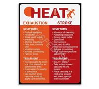 HUJWLBWF Comparative Infographic Poster on Heat Exhaustion and Heat Stroke Chart for Wall Decor Educational(Unframed,08x12inch(20x30cm))