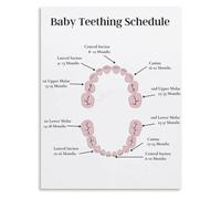 HUJWLBWF Teething Comfort Guide Poster Infant Tooth Development Chart for Mom Living Room Nursery Print(Framed,12x18inch(30x45cm))