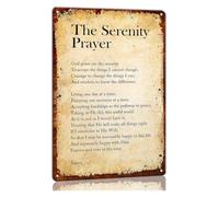 HUJWLBWF Wise Words Verse Tin Sign 8x12 Inch
