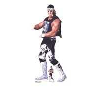 Hulk Hogan Wwe Lifesize Cartone Ritaglio Con Gratis Mini IN Piedi/Stand-Up - Nwo