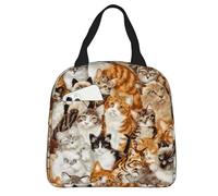 Hulnulnu Borsa termica per il pranzo con gatto carino, riutilizzabile, portatile, impermeabile, per picnic, ufficio, lavoro