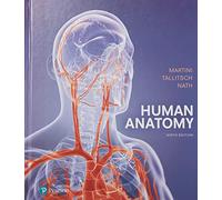Human Anatomy