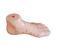 Human Anatomy Foot Acupuncture Training Model with Chinese Character & Number Points, Large Size PVC Foot Model for Anatomia Umana Study, Anatomical Human Body Model for Student Regali