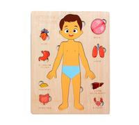 Human Anatomy Puzzle, Wooden Educational Toy, Multi-Layer Science Chart, Muscolo and Organ Layers, Body Diagram for Kids Learning, Studenti, Classroom, Travel, Teaching, Activity Set