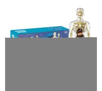 Human Anatomy Torso Toy - Detachable Organ Structure Model, Educational Posable Body Figure, Classroom STEM Learning Resource | Kids Medical Science Exploration Display Tool For Early Education