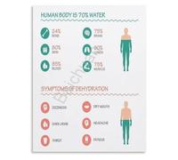 Human Body Hydration Levels Poster Educational Health Artwork