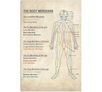 Human Body Meridians Chart Acupuncture Points Poster Traditional Chinese Medicine Wall Art for Office Clinic Decor(Framed,16x24inch(40x60cm))