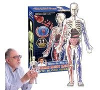 Human Body Skeleton Model - Anatomy Skeleton Toy For Kids | Luminous Educational Science Figure For Learning, Fine Motor Skills, Home And School