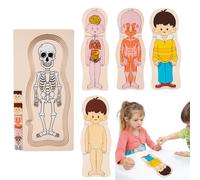 Human Body Wooden Puzzle - Educational Human Anatomy Body Puzzles,Interactive & Educational Ĥuman B́ody Model, Organ Recognition For Enhanced Learning