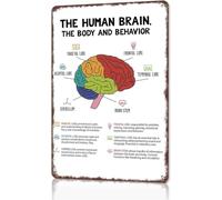 Human Brain Anatomy Lobes Function Tin Sign 12x8 Inch