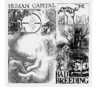 human capital