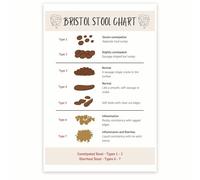 Human Digestive Process Chart - Educational and Humorous Biology Poster, Science Classroom Wall Art, Fun Gift for Medical Students or Teachers(Framed,08x12inch(20x30cm))