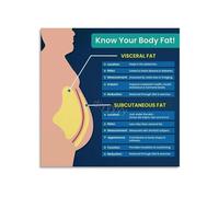 Human Fat Storage Poster for Nutrition Counseling