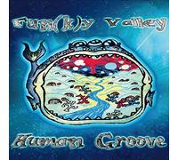 HUMAN GROOVE - FUN(K)Y VALLEY