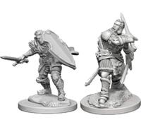 Human Male Paladin: D&D Nolzur’s Marvelous Unpainted Miniatures