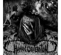 Human Obliteration - Definition Of Insanity