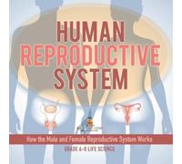 Human Reproductive System How the Male and Female Reproductive Syste (Tascabile)