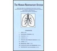 Human Respiratory System