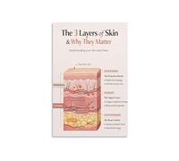 Human Skin Structure Poster with Layer Breakdown