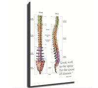 Human Spine Art Print Hippocrates Famous Quote Canvas Wall Decor for Chiropractor Office and Home(Unframed,08x12inch(20x30cm))