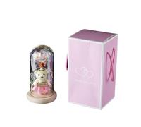 Humanitypd Regalo di fiori di rosa galassia, rosa infinito in una cupola di vetro con ghirlanda luminosa a LED sulla rosa di cristallo, regali unici per le donne