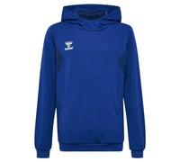 Hummel Authentic Pl Hoodie Blu 116 cm Bambino,Bambina