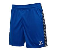 Hummel Authentic Pl Shorts L