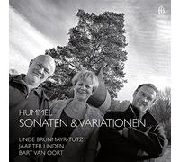 Hummel/ Brunmayr-Tutz/ Linden/ Van Oort - Sonatas & Variations