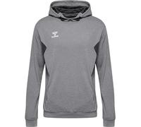 Felpa con cappuccio in poliestere Hummel Authentic Gris L