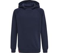 Hummel Red Classic Hoodie Blu 176 cm Bambini