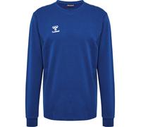 Hummel Authentic Co Training Sweatshirt Blu L