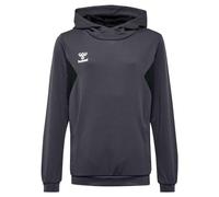Hummel Authentic Pl Hoodie Nero 116 cm Bambini