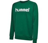 Uomo hummel Felpa con stampa logo in cotone sportivo con maniche raglan