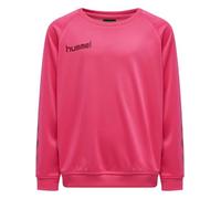 hummel Poly Felpa Raglan Manica Hmlpromo Multisport Bambini Taglia