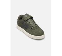 Hummel - ST. POWER PLAY SUEDE JR Verde - Sneakers 34 Verde