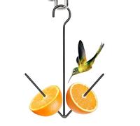 Hummingbird Feeder - Fork Design Metal Feeding Station, Hanging Fruit Vegetable Holder | Small Bird Pet Supply Accessory for Cockatiel Sparrow Canary Outdoor Garden Yard Porch Patio Balcony