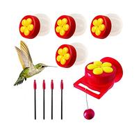 Hummingbird Small Bird Feeder Combinazione Finestra Ventosa Ventosa Mangiatoia Produttore Produce Spot -border Piattaforma Ottimo strumento per la casa Utilizzando Facile da usare Comodo Realizzato in