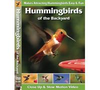 Hummingbirds of the Backyard
