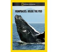 Humpbacks: Inside the Pod (DVD)