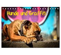 Hunde und Graffiti (Tischkalender 2026 DIN A5 quer), CALVENDO Monatskalender: Mit Hunden an bunten Graffitiwänden in der Stadt unterwegs