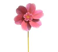HunicandIU Mulinelli a - Girandole con i Fiori di Ciliegio per il Giardino | Girandole Artistiche Resistenti per Piscina Giardino Approdo