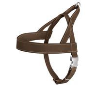 Hunter Cani Piatto Norvegese Caccia Braun, Varie Misure, Nuovo