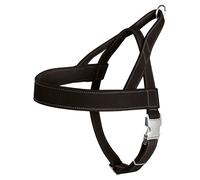 Hunter Cani Piatto Norvegese Caccia Nero, Varie Misure, Nuovo