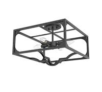 Hunter Fan Company 19291 Highland Hill Flush Mount Light, Rustic Iron