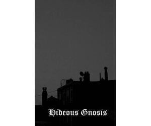 Hunter Hunt-Hendrix Steven Shakespeare Erik Butler Hideous Gnosis (Tascabile)