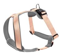 HUNTER Imbracatura per cani NEOPREN, colore: pesca/grigio, nylon resistente, imbottita con morbido neoprene, materiale riflettente Scotchlite 3M, facile da pulire, confortevole, taglia: S